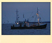 fangfrisch - direkt vom Kutter