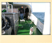 Orion - Wissenschaft