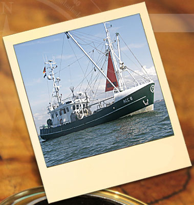 Wachschiff / Guardvessel